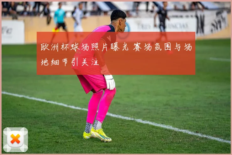 欧洲杯球场照片曝光 赛场氛围与场地细节引关注