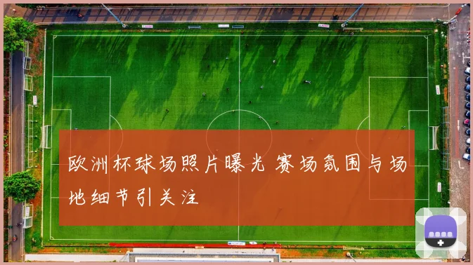 欧洲杯球场照片曝光 赛场氛围与场地细节引关注