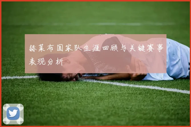 赫莱布国家队生涯回顾与关键赛事表现分析