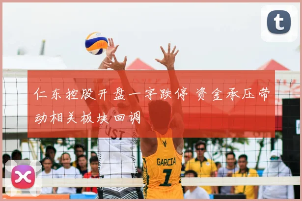 仁东控股开盘一字跌停 资金承压带动相关板块回调