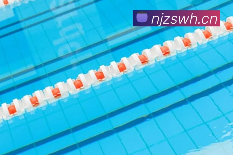 巅峰国际app注册官网平台生态图